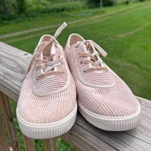 🌻NWOT Velvet TOMS Sneakers